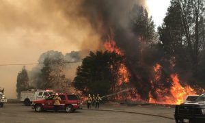 5 Safety Tips to Remember as wildfires roar in California